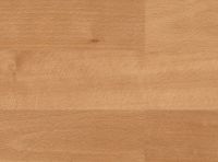 Parkett 4000 TC SB Buche ged.